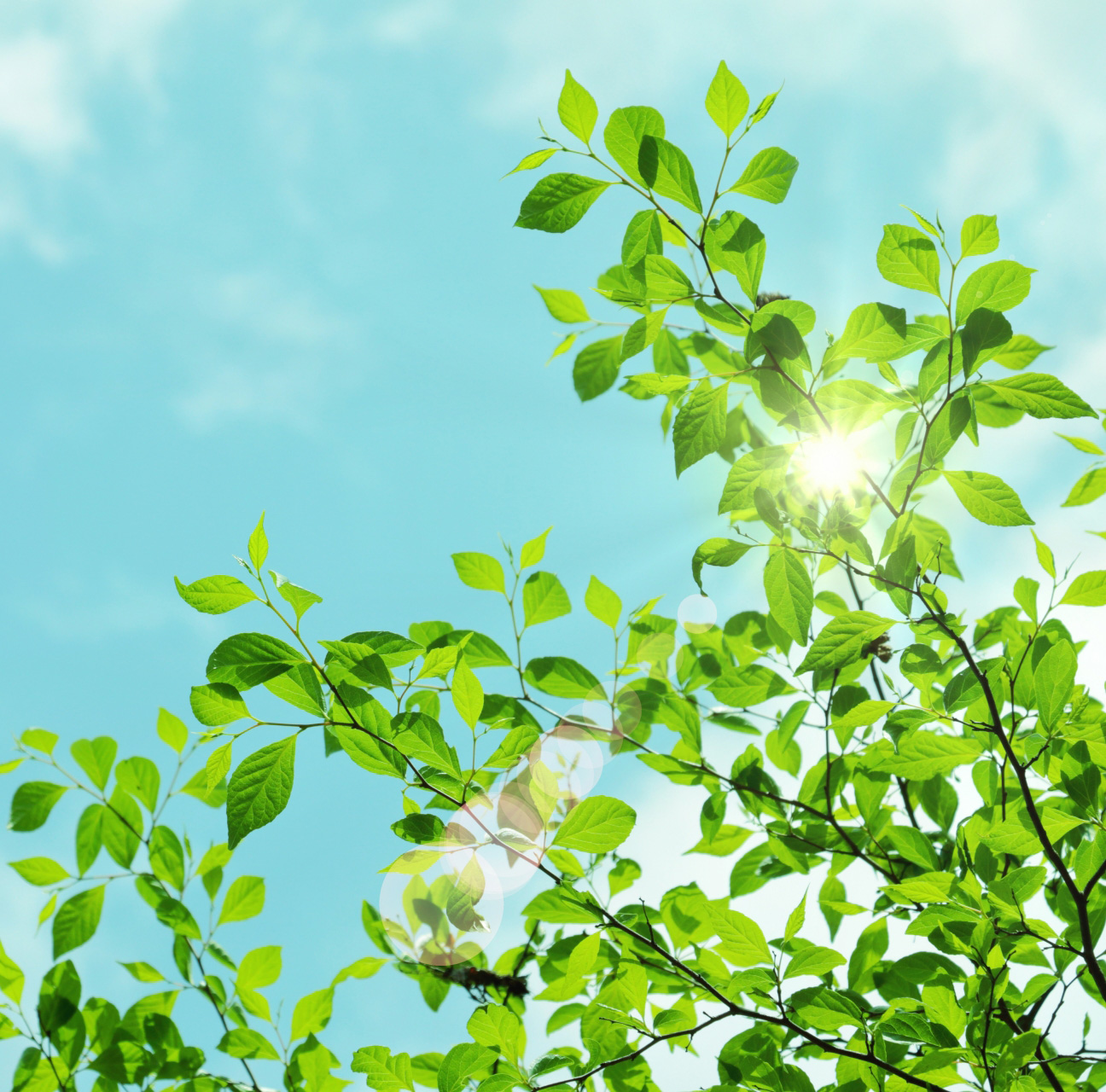 有害な紫外線をカット